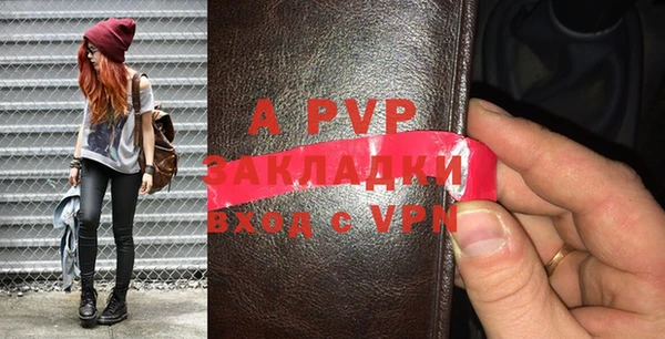 индика Новокубанск