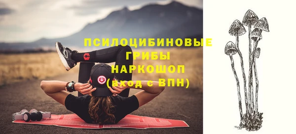 mdma Новодвинск
