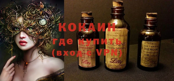 индика Новокубанск
