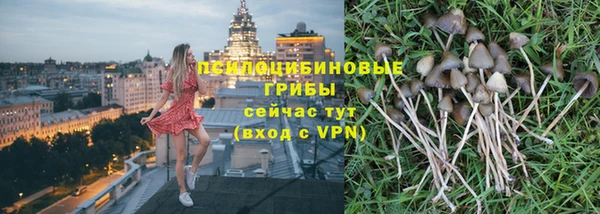 mdma Новодвинск