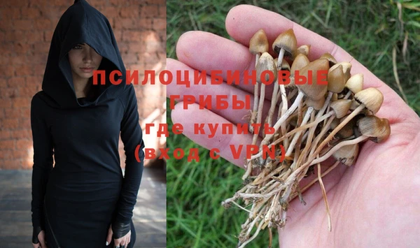 МДПВ Нязепетровск