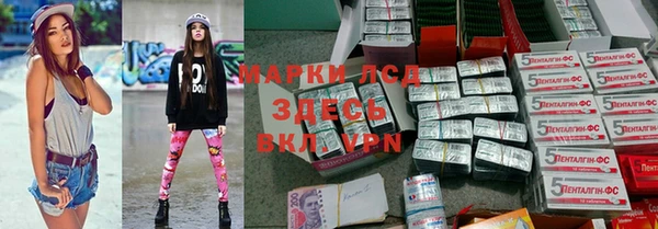 индика Новокубанск