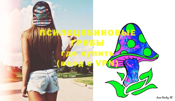 mdma Новодвинск