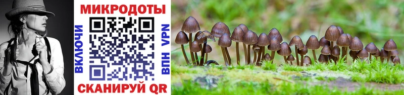 Галлюциногенные грибы Cubensis  kraken как зайти  Иннополис 